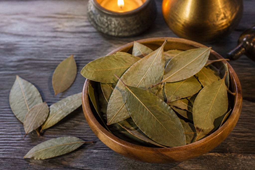 14 feuilles de laurier pour attirer l’argent : le rituel maison à découvrir