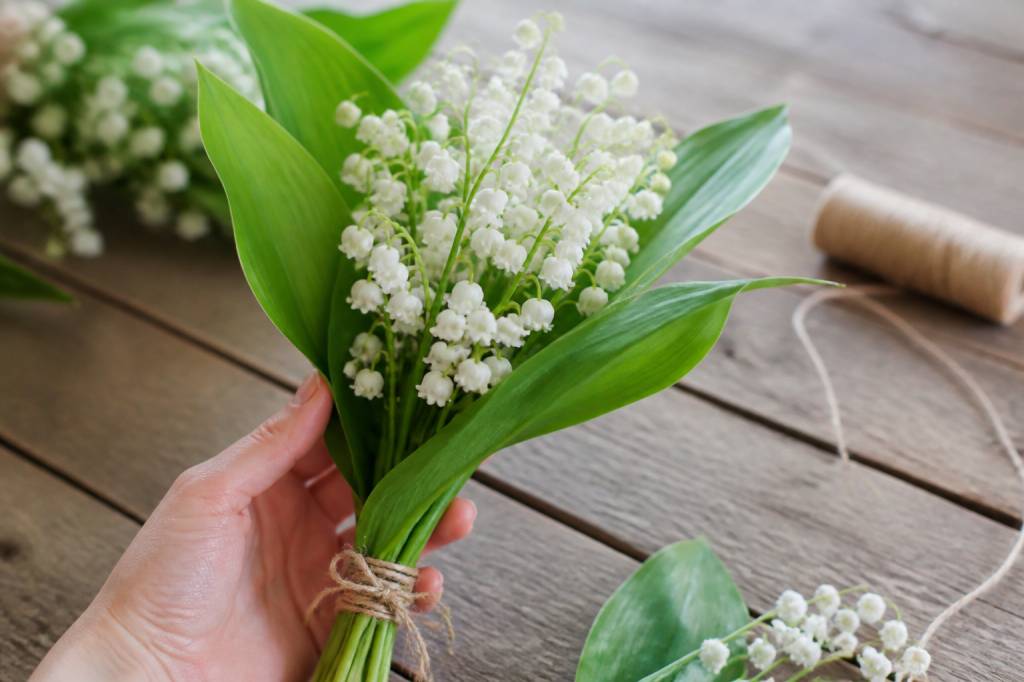 1er mai dessin muguet : idées créatives et modèles faciles à réaliser