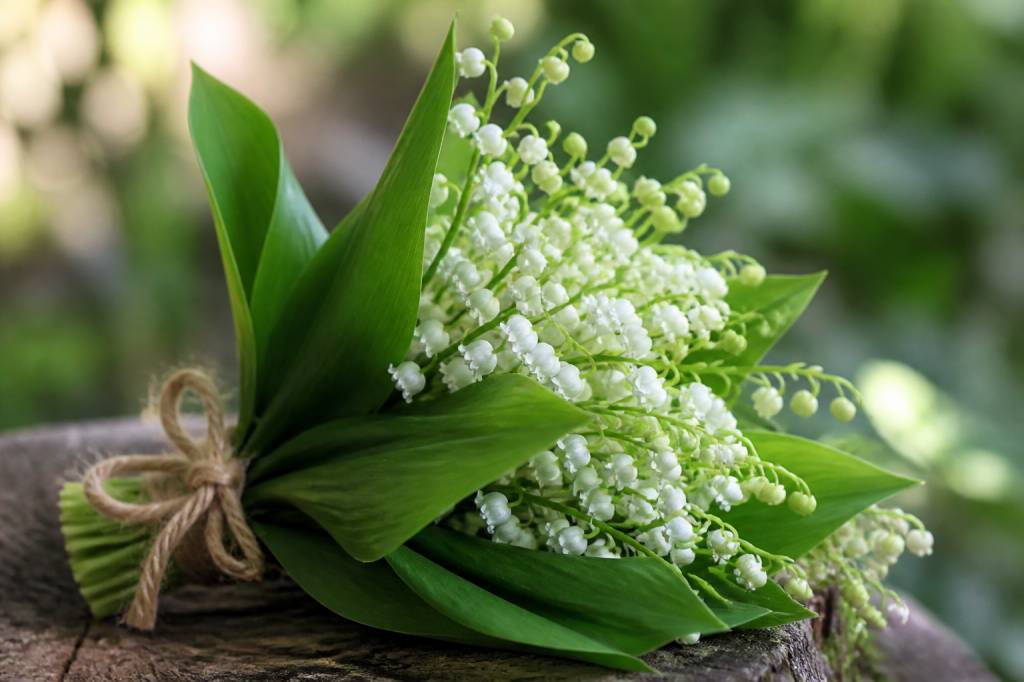 1er mai gif animé muguet : les plus belles images pour célébrer la fête du Travail