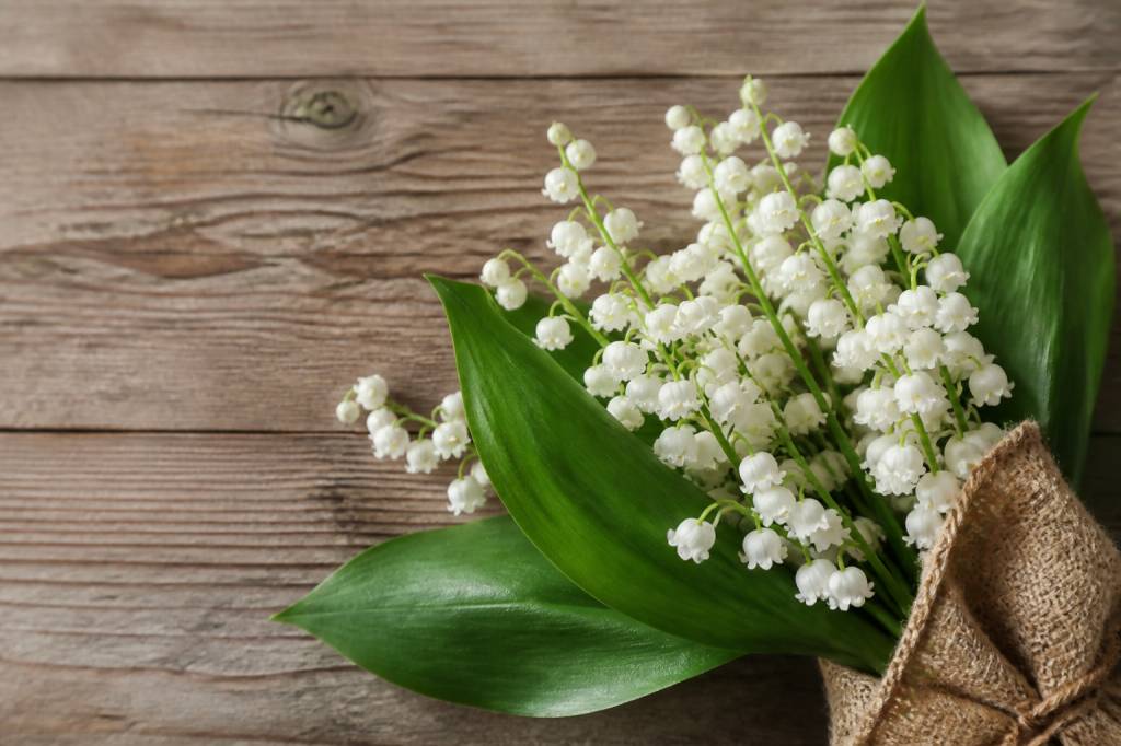 1er mai humour : les meilleures idées pour rire du muguet et de la fête du Travail